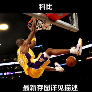 不动产权证上面权利性质是划拨有影响